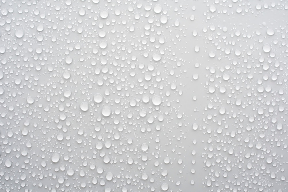 shutterstock 2330626627