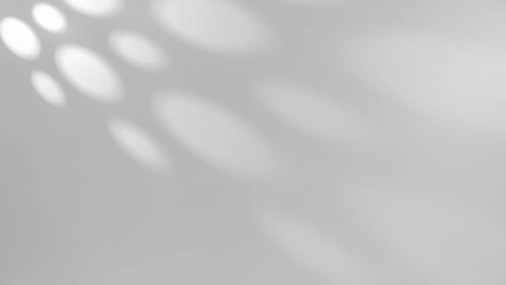 shutterstock 2647497553